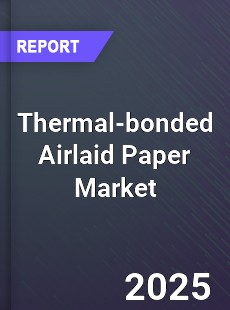 Global Thermal bonded Airlaid Paper Industry