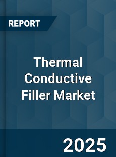 Global Thermal Conductive Filler Market