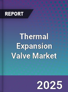 Global Thermal Expansion Valve Market