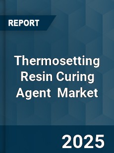 Thermosetting Resin Curing Agent Global and China Top Players Market
