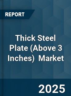 Thick Steel Plate Global and China Top Players Market