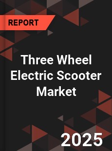 Three Wheel Electric Scooter Market