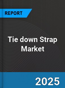 Global Tie down Strap Industry
