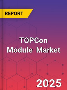 Global TOPCon Module Industry