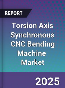 Global Torsion Axis Synchronous CNC Bending Machine Industry