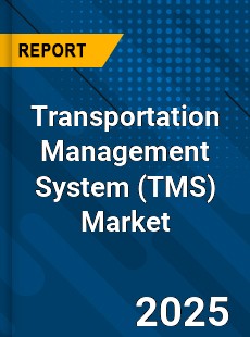 Global Transportation Management System Industry