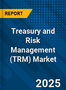 Global Treasury and Risk Management Market