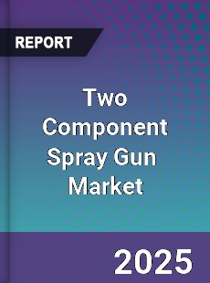 Global Two Component Spray Gun Industry