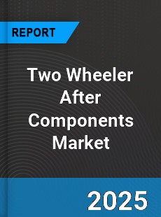 Worldwide Two Wheeler After Components Market