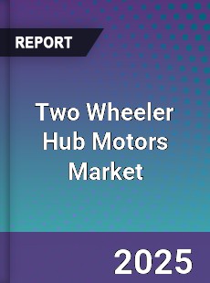 Two Wheeler Hub Motors Market