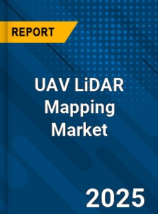UAV LiDAR Mapping Global and China Top Players Market