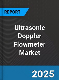 Global Ultrasonic Doppler Flowmeter Market