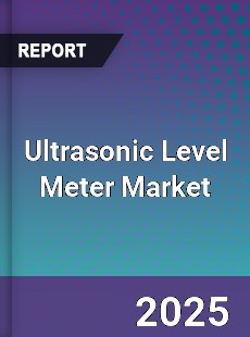 Global Ultrasonic Level Meter Market