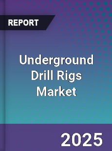 Report on Global Underground Drill Rigs Market by Player