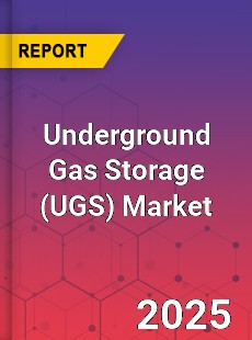 Global Underground Gas Storage Industry