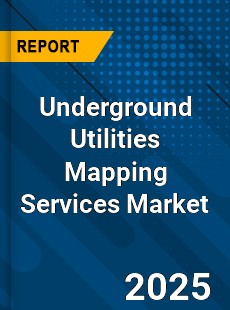 Global Underground Utilities Mapping Services Market