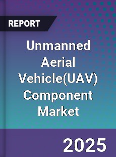Global Unmanned Aerial Vehicle Component Market