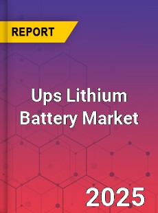 Global Ups Lithium Battery Market