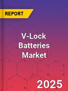 V Lock Batteries Global and China Top Players Market