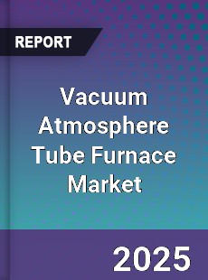 Vacuum Atmosphere Tube Furnace Market