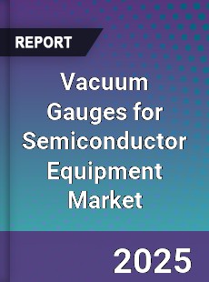Global Vacuum Gauges for Semiconductor Equipment Market
