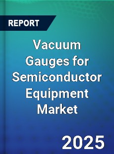Global Vacuum Gauges for Semiconductor Equipment Market