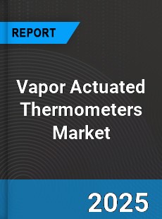 Global Vapor Actuated Thermometers Industry