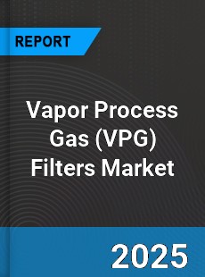Global Vapor Process Gas Filters Market