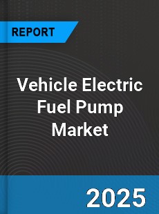 Global Vehicle Electric Fuel Pump Market