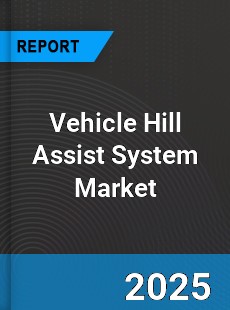 Global Vehicle Hill Assist System Industry