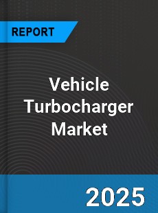 Report on Global Vehicle Turbocharger Market by Player