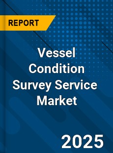 Global Vessel Condition Survey Service Industry