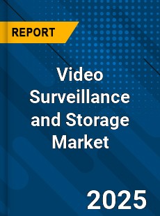 Global Video Surveillance and Storage Market