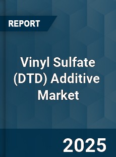 Global Vinyl Sulfate Additive Industry