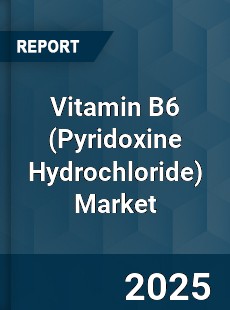 Global Vitamin B6 Market
