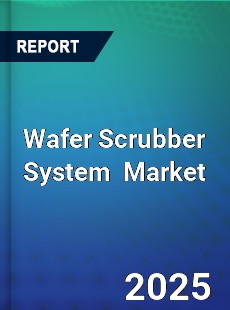 Global Wafer Scrubber System Industry