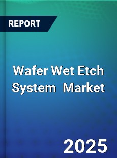 Global Wafer Wet Etch System Industry