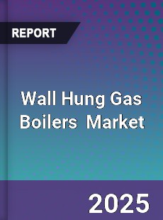 Global Wall Hung Gas Boilers Industry