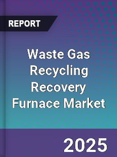 Global Waste Gas Recycling Recovery Furnace Market