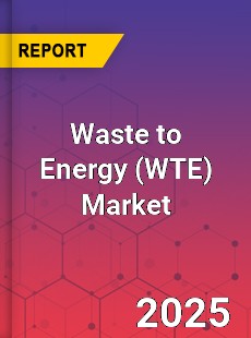 Global Waste to Energy Market