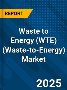 Global Waste to Energy Market