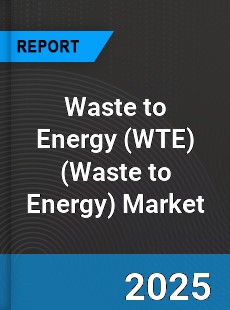 Global Waste to Energy Market