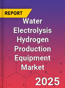 Water Electrolysis Hydrogen Production Equipment Market