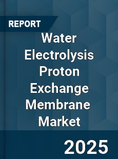 Global Water Electrolysis Proton Exchange Membrane Industry