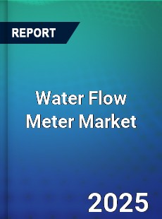 Water Flow Meter Global and China Top Players Market