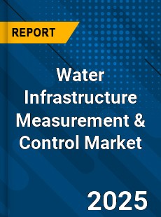 Global Water Infrastructure Measurement amp Control Industry