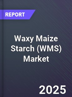 Waxy Maize Starch Global Market