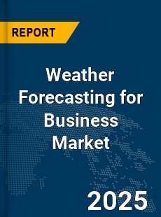 Global Weather Forecasting for Business Market