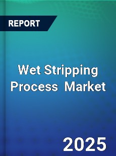 Global Wet Stripping Process Industry