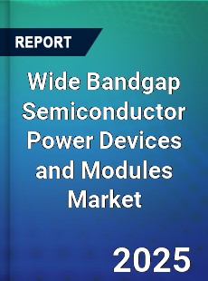 Wide Bandgap Semiconductor Power Devices and Modules Global and China Top Players Market